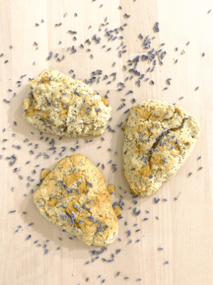 Lemon Lavender Poppy Seed Scones | Gluten, Dairy, and Sugar-Free 5 healthy lavender scones