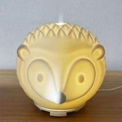 25+ Practical Essential Oil Gifts They’ll Actually Want to Use 16 harry the hedgehog diffuser