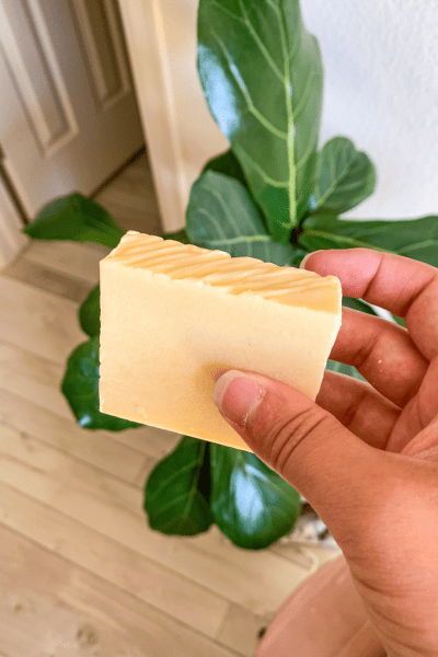 Unfiltered Viori Beauty Review (Read Before You Buy!) 7 nontoxic solid conditioner