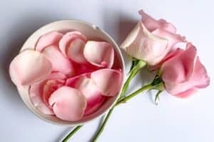 rose petals in a bowl