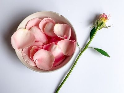 How to Make Rose Water at Home (No Rosebush Needed!) 7 pink rose petals